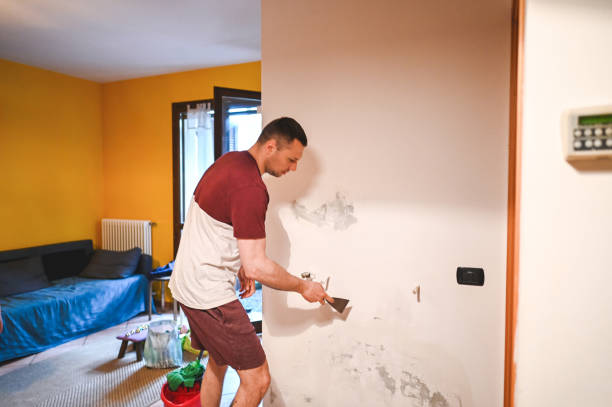 Best Mold Testing and Inspection Services in Daytona Beach Shores, FL